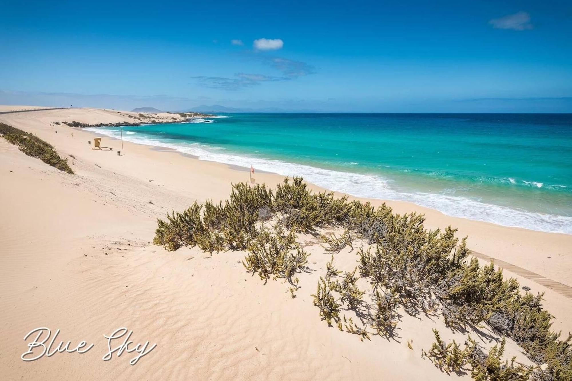 Corralejo Sun 335 Blue Sky By Rentalfue Exterior photo